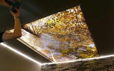 Fotoelement mit Hintergrundlicht